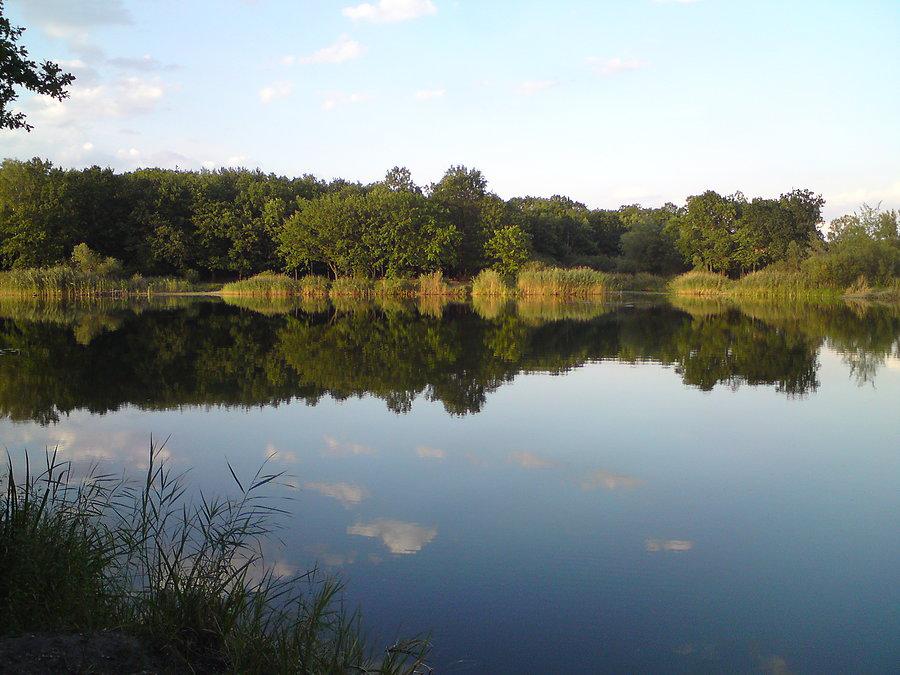 Babi Loch, czyli Starorzecze 5