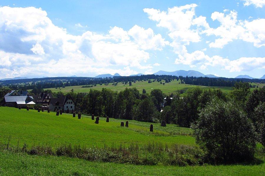 W oddali Tatry - Dzianisz