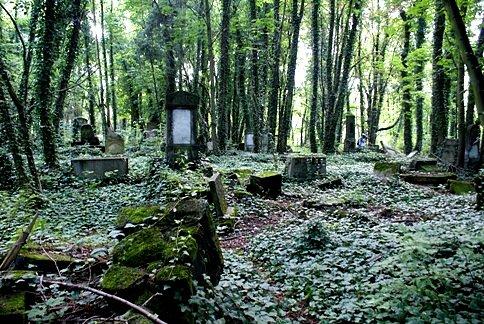 Jest to jeden z największych kirkutów w kraju