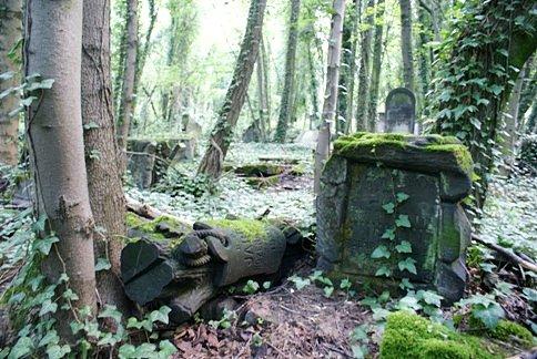 Znajduje się tutaj ok. 5 tyś. grobów i macew