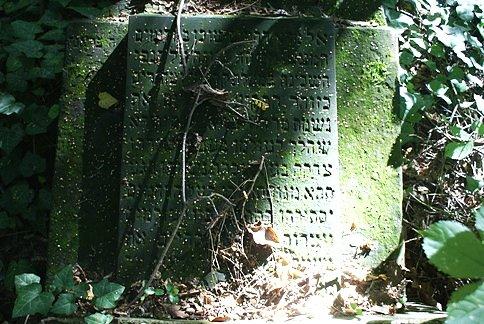 Kirkut częstochowski założony został przez gminę żydowską w 1804r