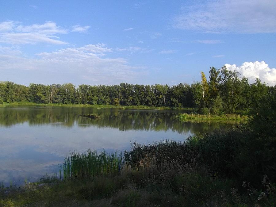 Antošovice, staw