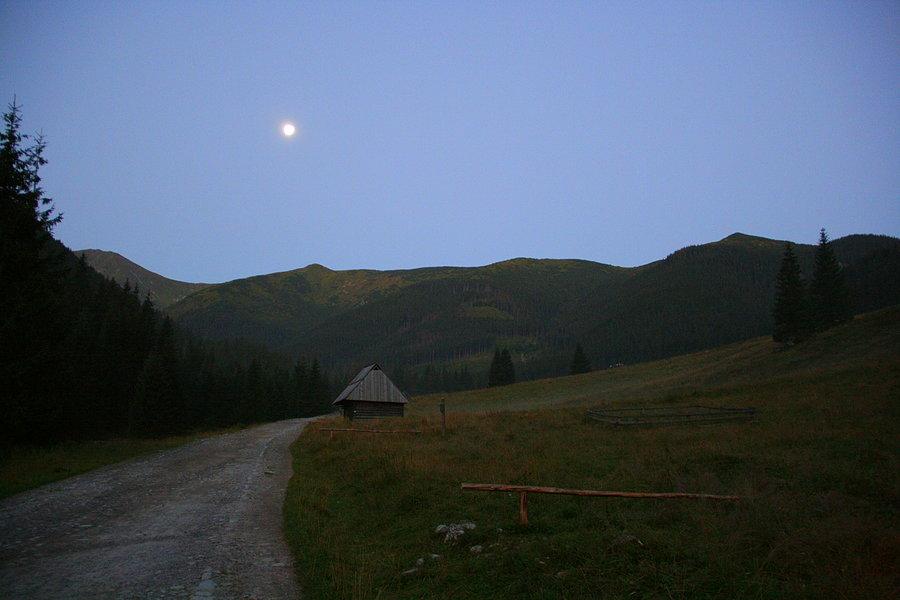 Świt w Dolinie Chochołowkiej I