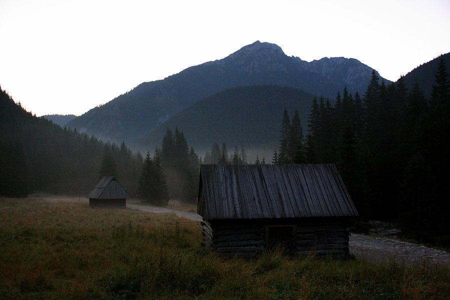 ​Świt w Dolinie Chochołowkiej IV