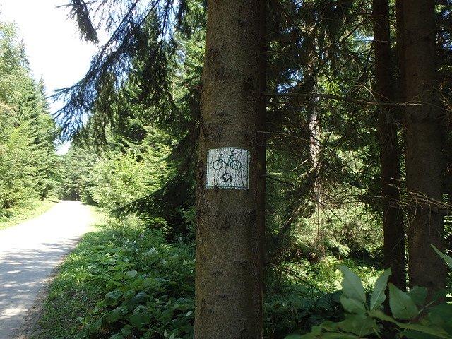 Na rowerowym szlaku w kierunku Biabiogórskiego Parku Narodowego