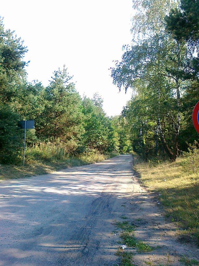 Ładna droga do Truskawia
