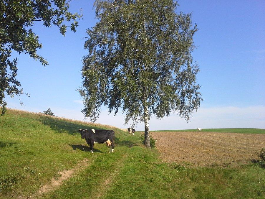 Kaszubskie widoki