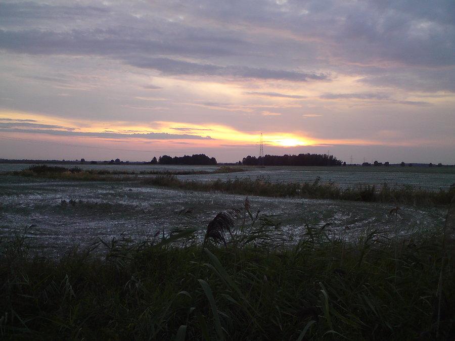 Śierpniowy śnieg na polu
