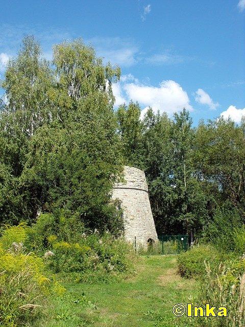 Wapiennik w Mokre koło Śląskiego Ogrodu Botanicznego