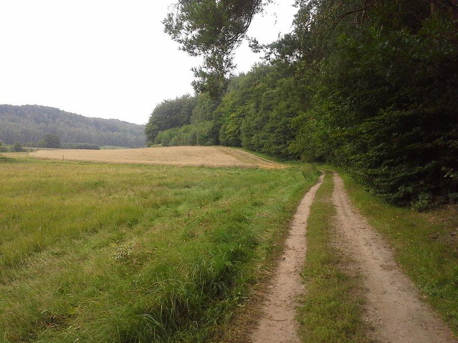 Jadąc przed siebie
