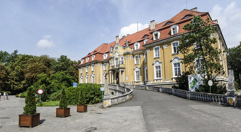 Pałac von Ballesrema - obecnie Wojewódzki Ośrodek Rehabilitacyjnyw Kochcicach