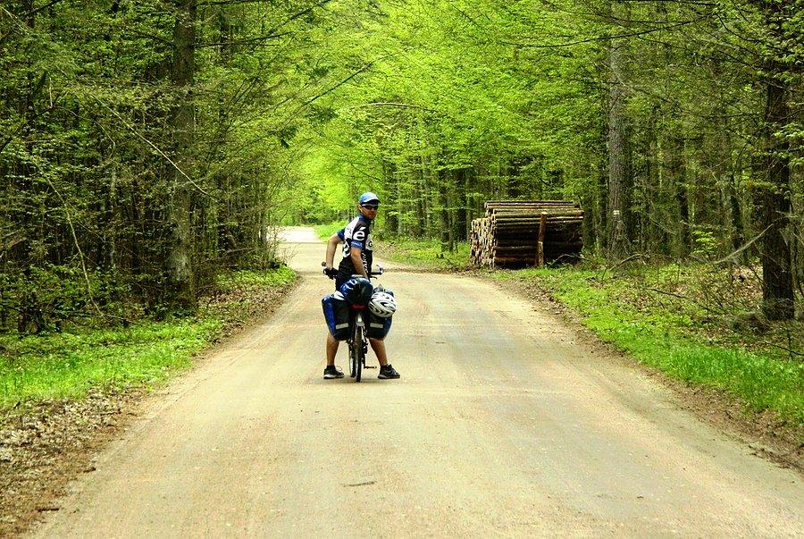 Puszcza Białowieska
