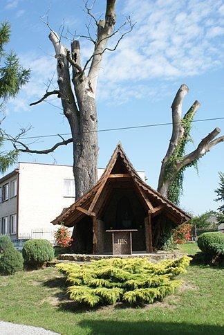 Ołtarz polowy na terenie parafii Marii Magdaleny w Gidlach