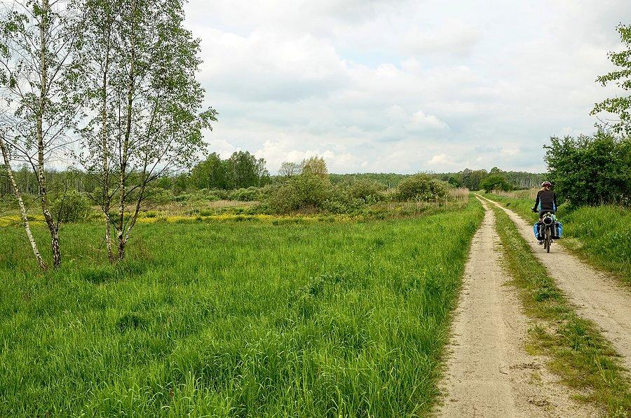 Poleski Park Narodowy
