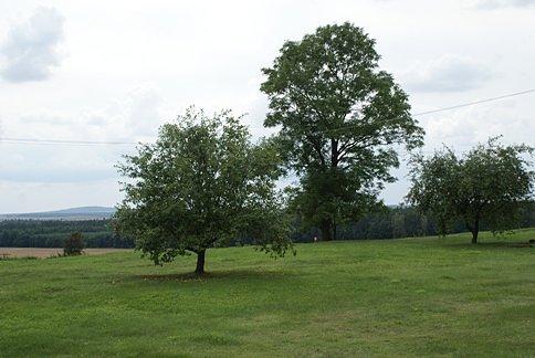 Widok z Bąkowej Góry