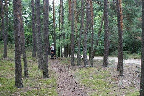 ...a miało nie być terenu