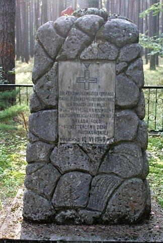 Z bliska