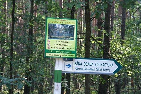 Stąd blisko do Ośrodka Rehabilitacji dzikich zwierząt