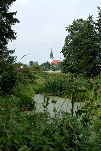 Parafia wolborska na horyzoncie