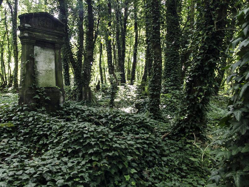 Macewy na kirkucie Częstochowskim