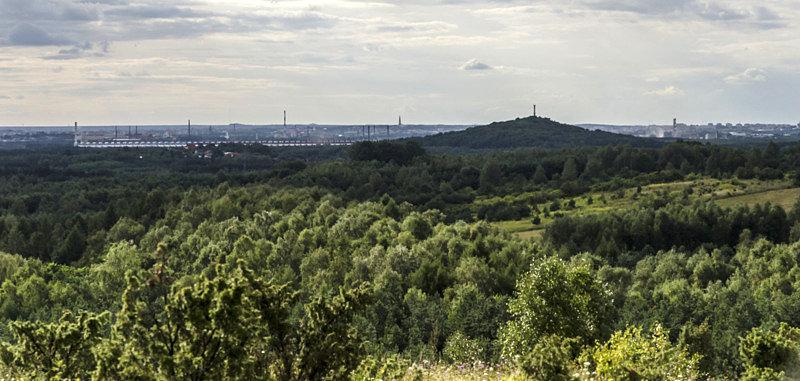Kierunek Częstochowa