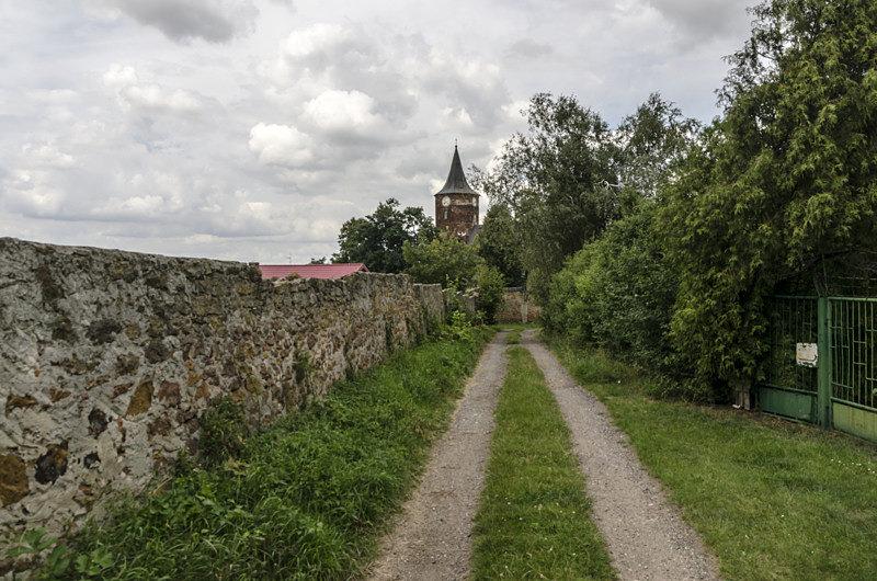 W tle wieża kościoła w Przedborzu