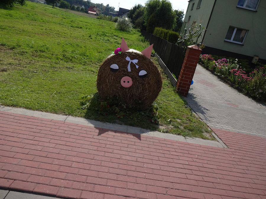 DOŻYNKI GMINNE 2016 Godów