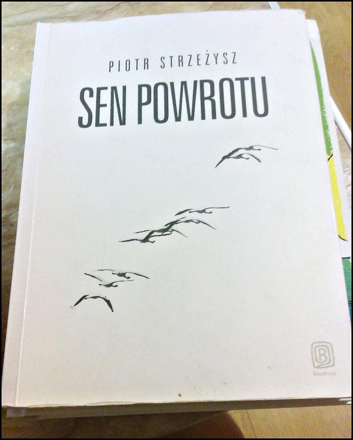 Piotr Strzeżysz "Sen powrotu"