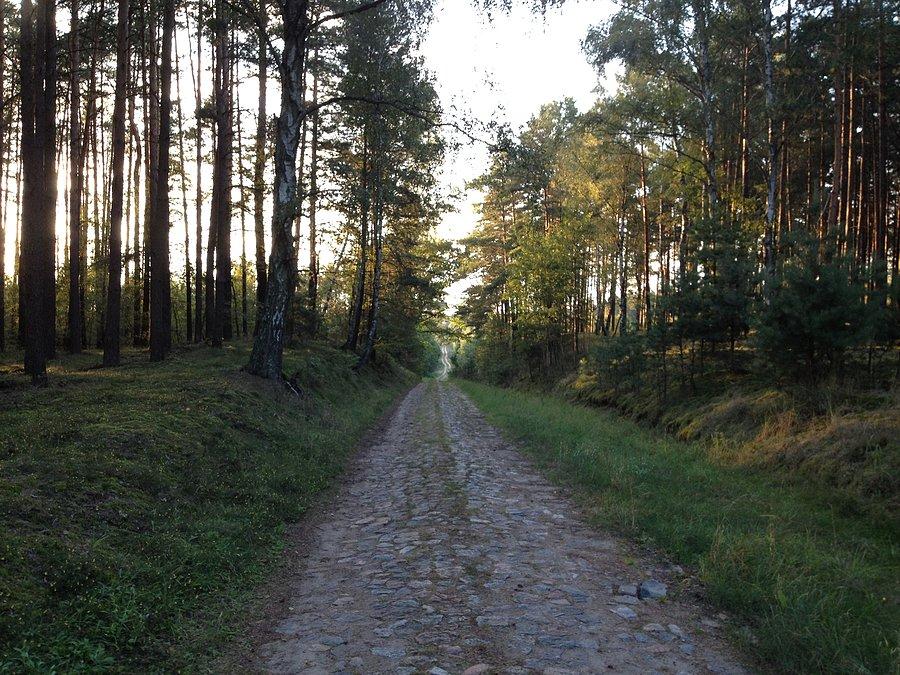 Na trasie Kruszewo - Walkowice