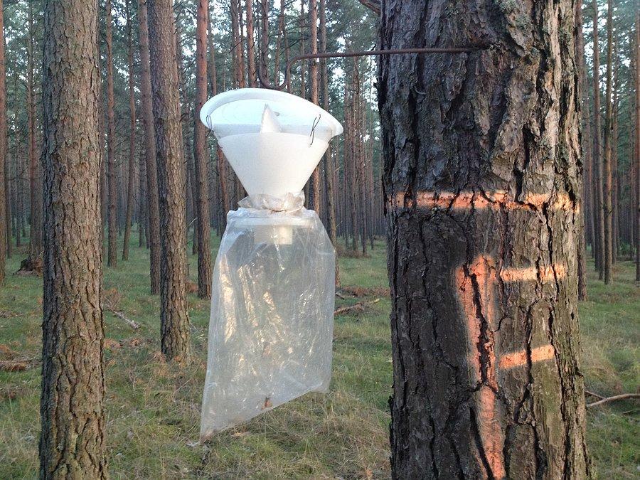 Pułapka na szkodniki