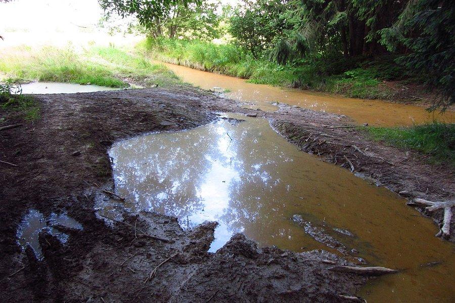 Lekkie błotko po drodze