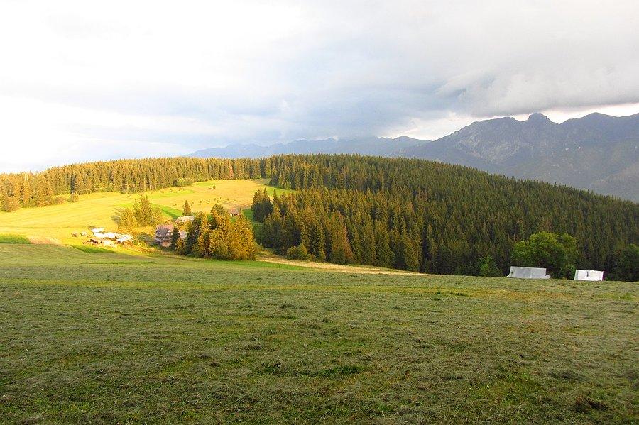 Widoczek z czarnego rowerowego