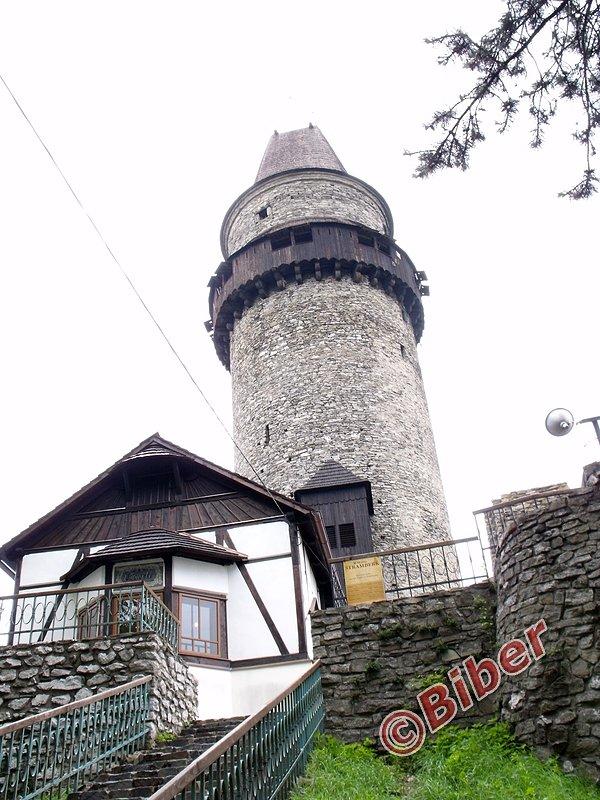 Trúba