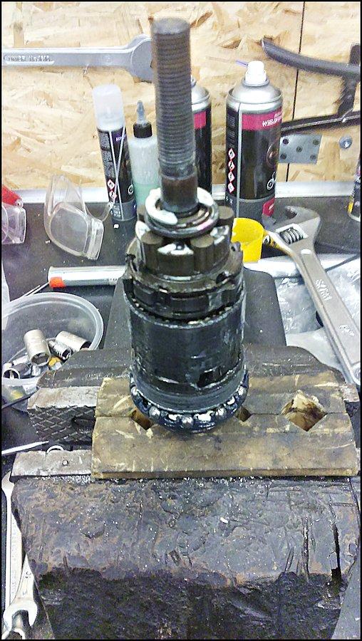 Wkład piasty Shimano Nexus 3
