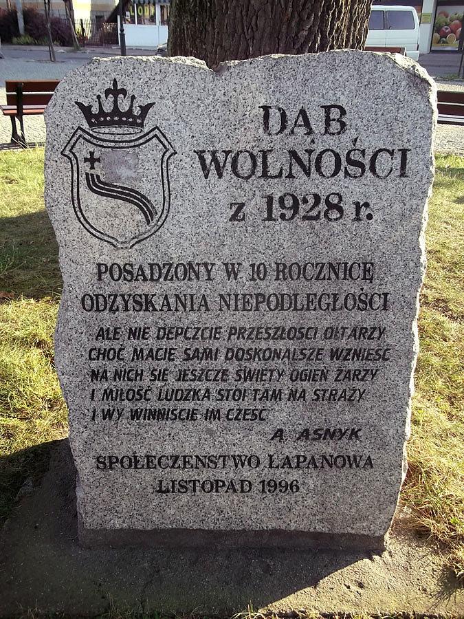 Dąb w Łapanowie