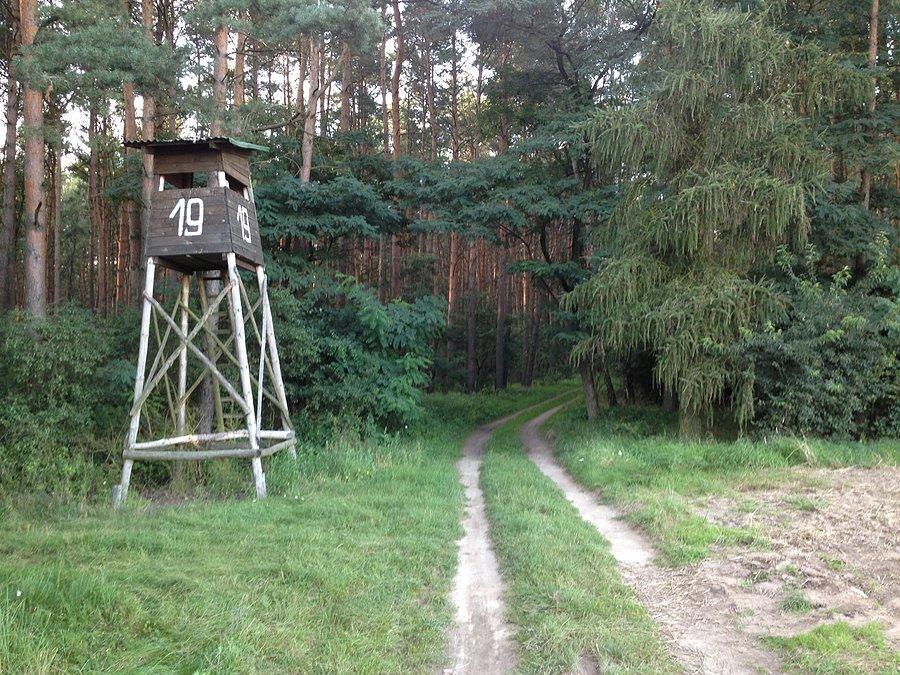 Ambona myśliwska / przed Kruszewem