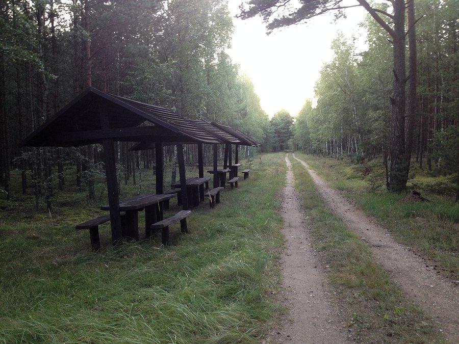 Leśną drogą w kierunku Walkowic