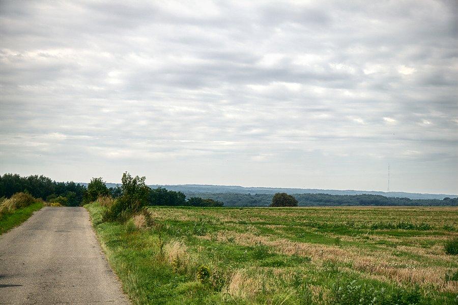 W drodze z Bielkowa do Rekowa