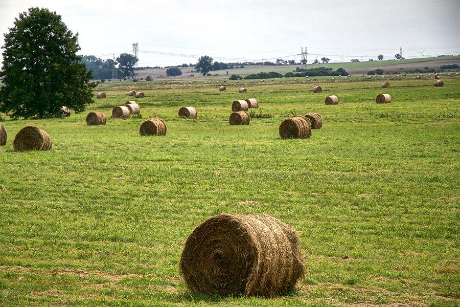 Przydrożne widoki