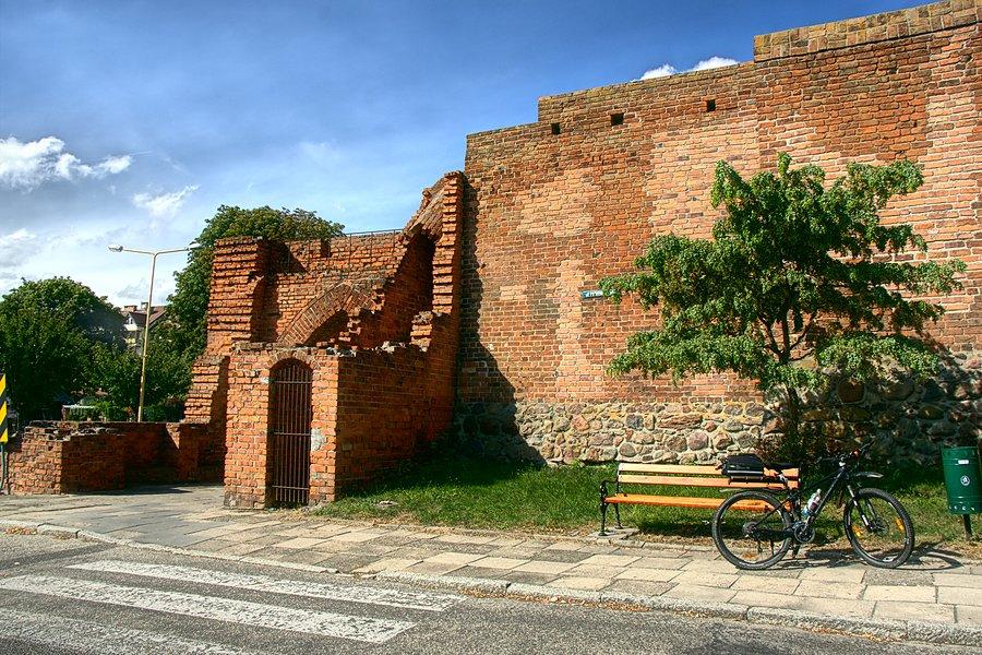 Mury obronne w Pyrzycach