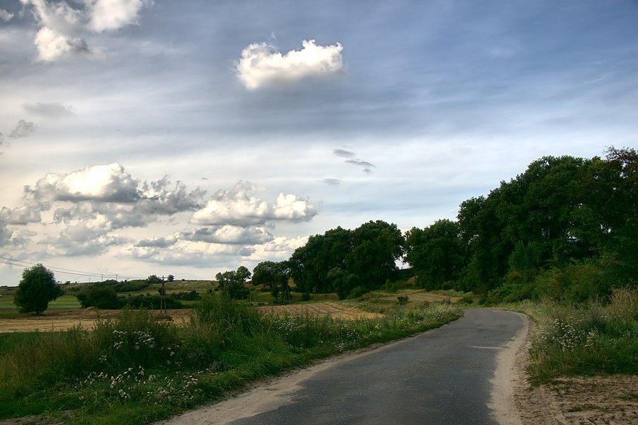 W drodze do Wierzbna z miejscowości Grędziec