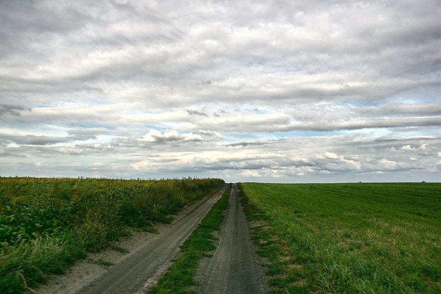Żuzlówką opuszczam Wierzbno