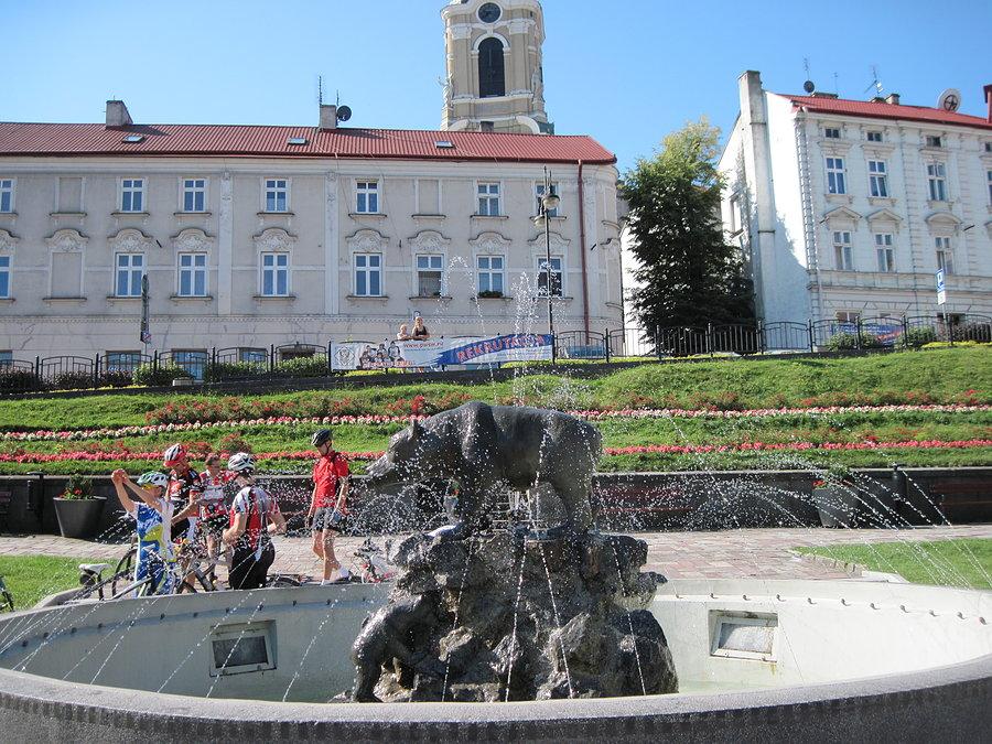 Przemyskie niedźwiadki