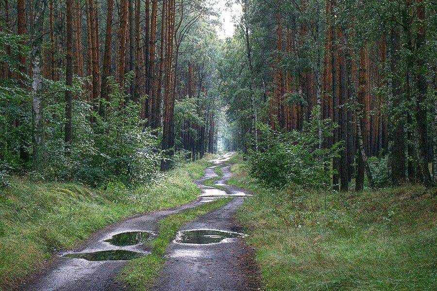 Trochę kałuż na drodze było ale szło przejechać :)