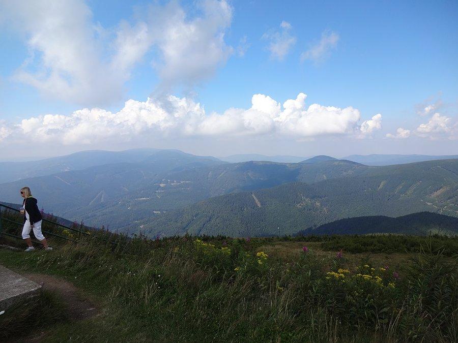 Widoki