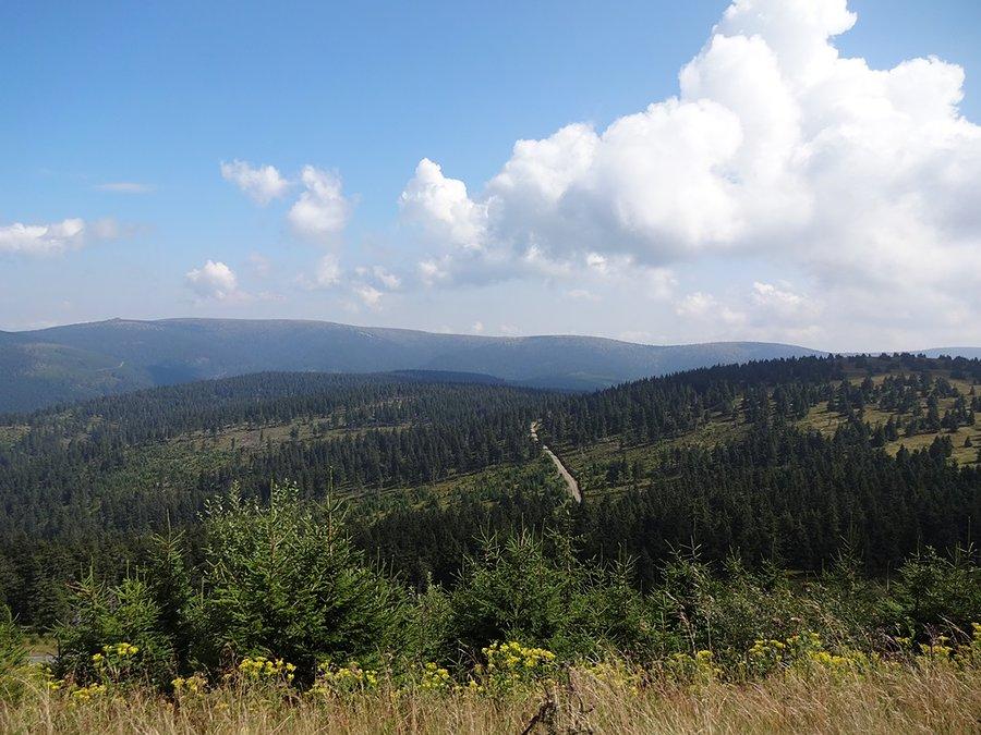 Widoki