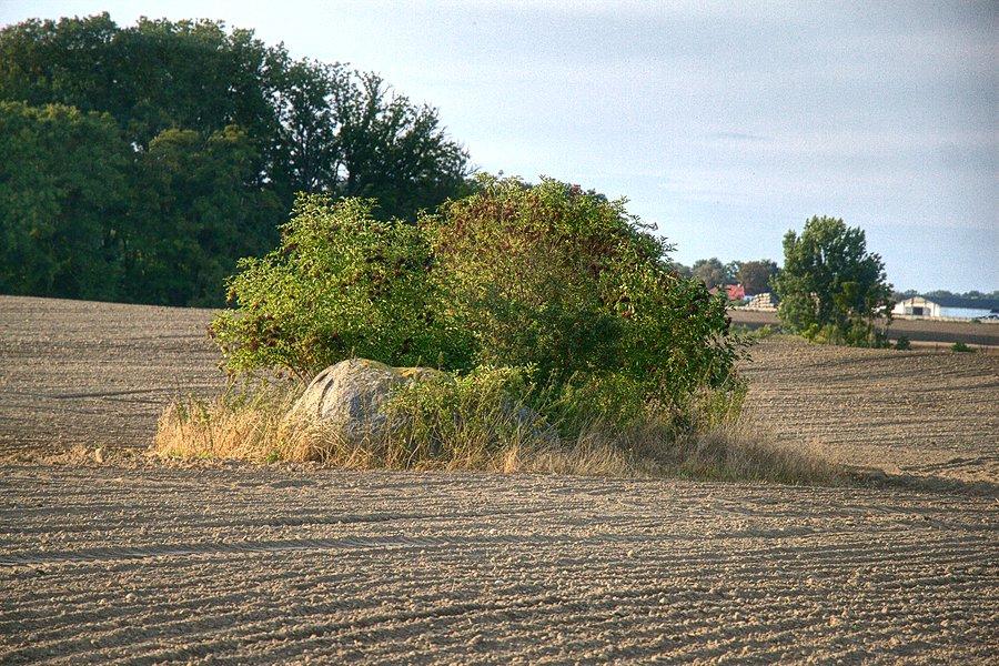 Głaz "Stół ofiarny"