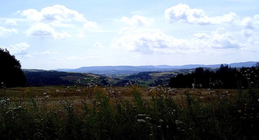 Widok z górki