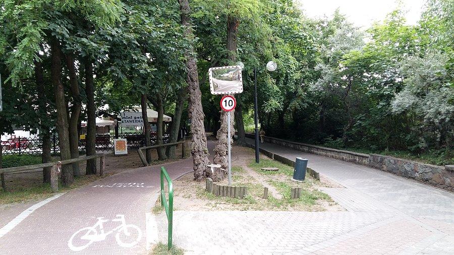 Sopot. Ograniczenie prędkości dla rowerów!
