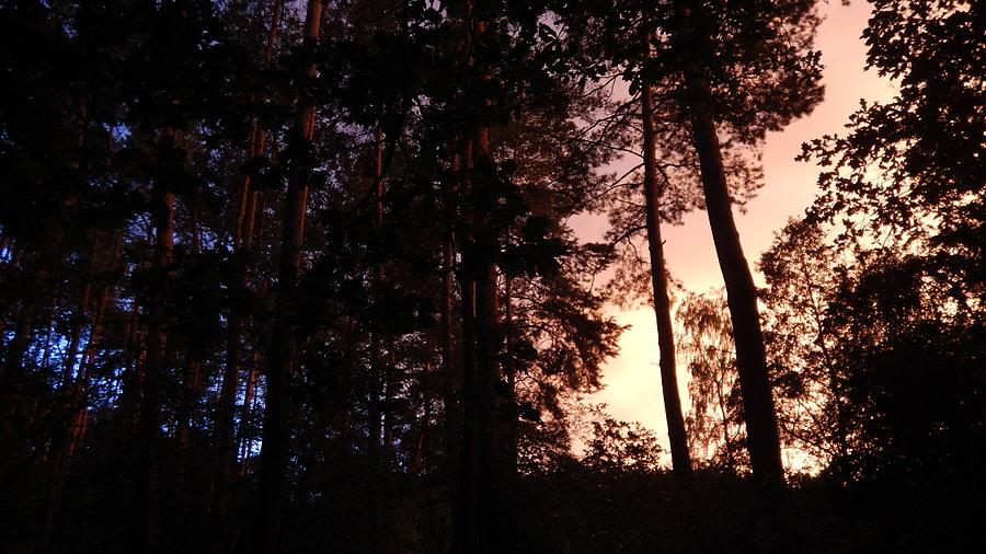 Wyprawa, dzień 1 - widoki do kolacji